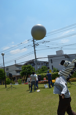 DSC_4583_1013-.jpg